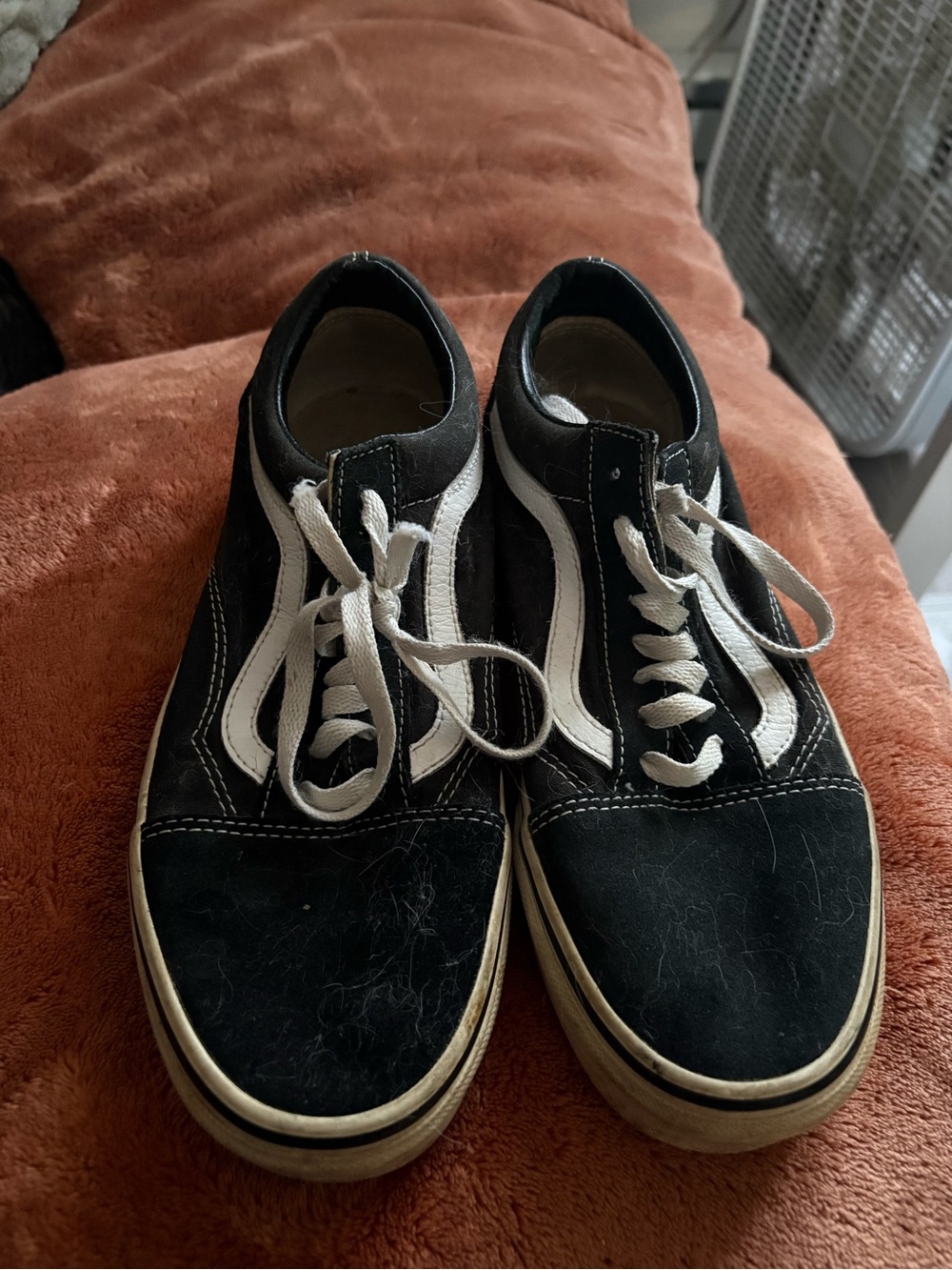 Vans Black and White Low-Top Skate Sneakers
